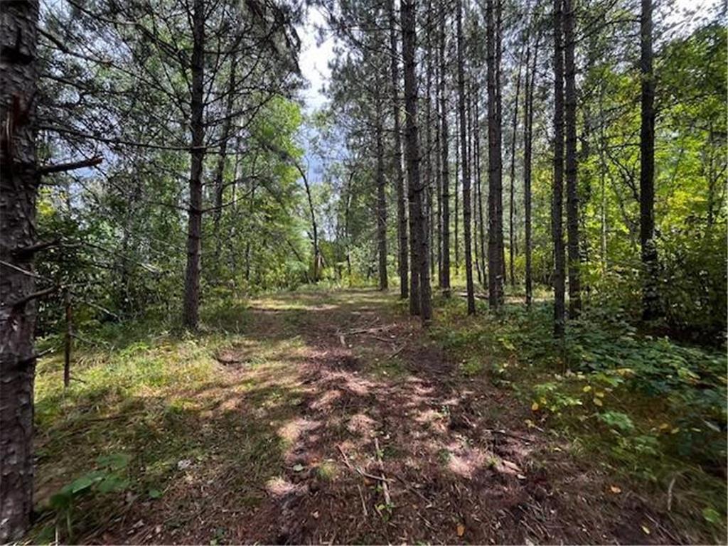 Tract B Jewel Drive Park Rapids MN 56470 - Bad Axe 6782350 image34