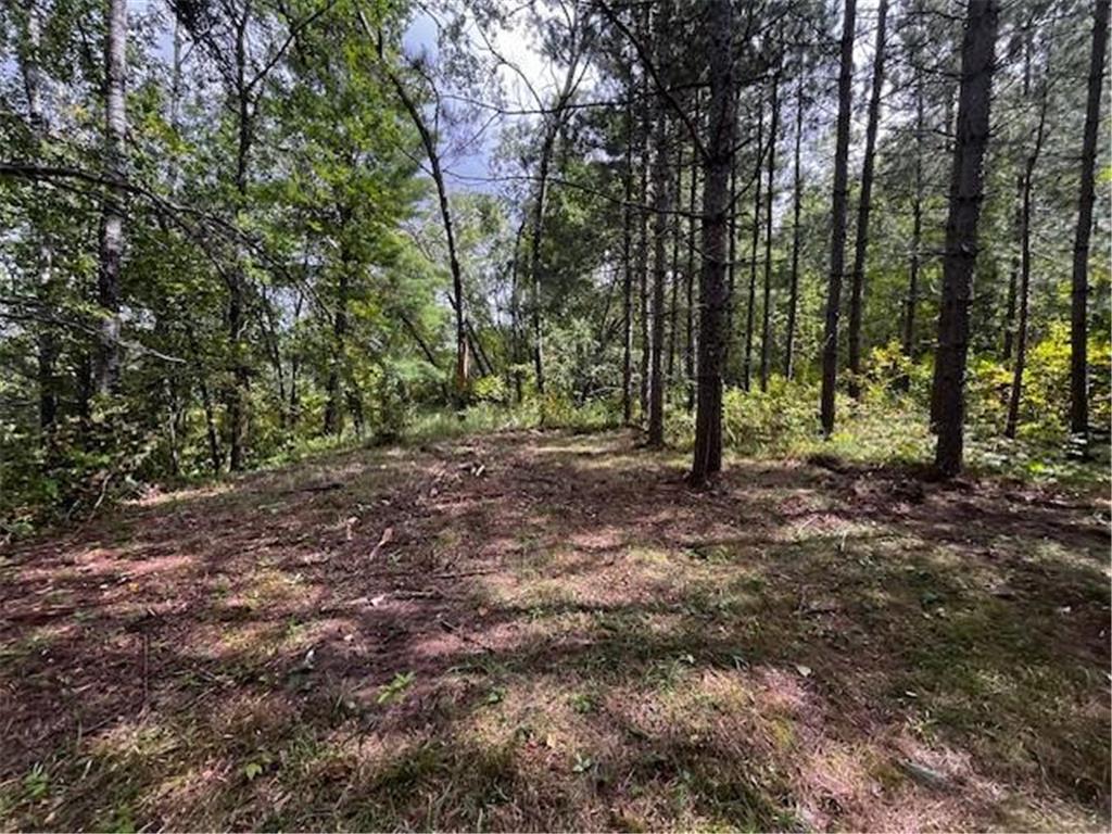 Tract B Jewel Drive Park Rapids MN 56470 - Bad Axe 6782350 image35