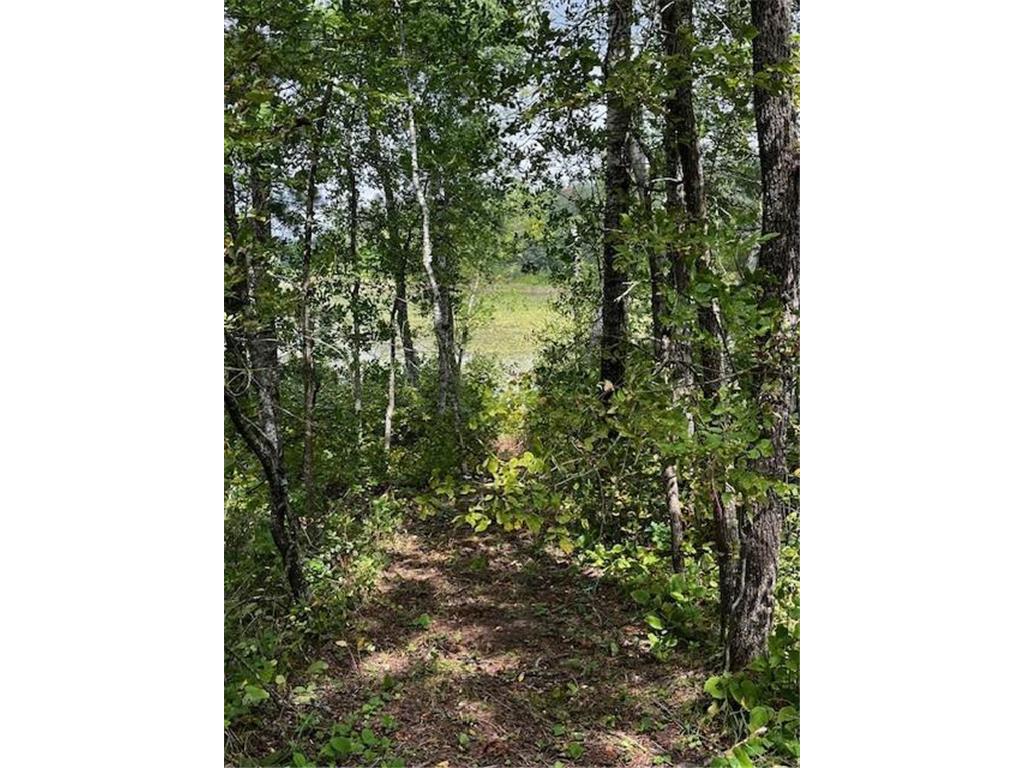 Tract B Jewel Drive Park Rapids MN 56470 - Bad Axe 6782350 image36