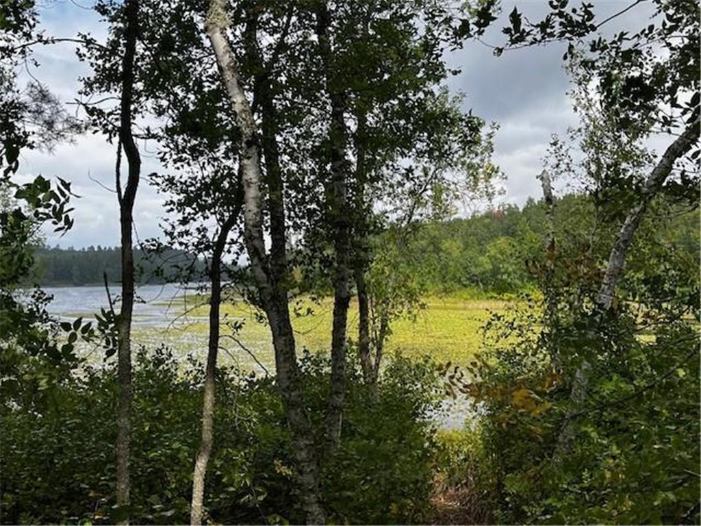 Tract B Jewel Drive Park Rapids MN 56470 - Bad Axe 6782350 image37