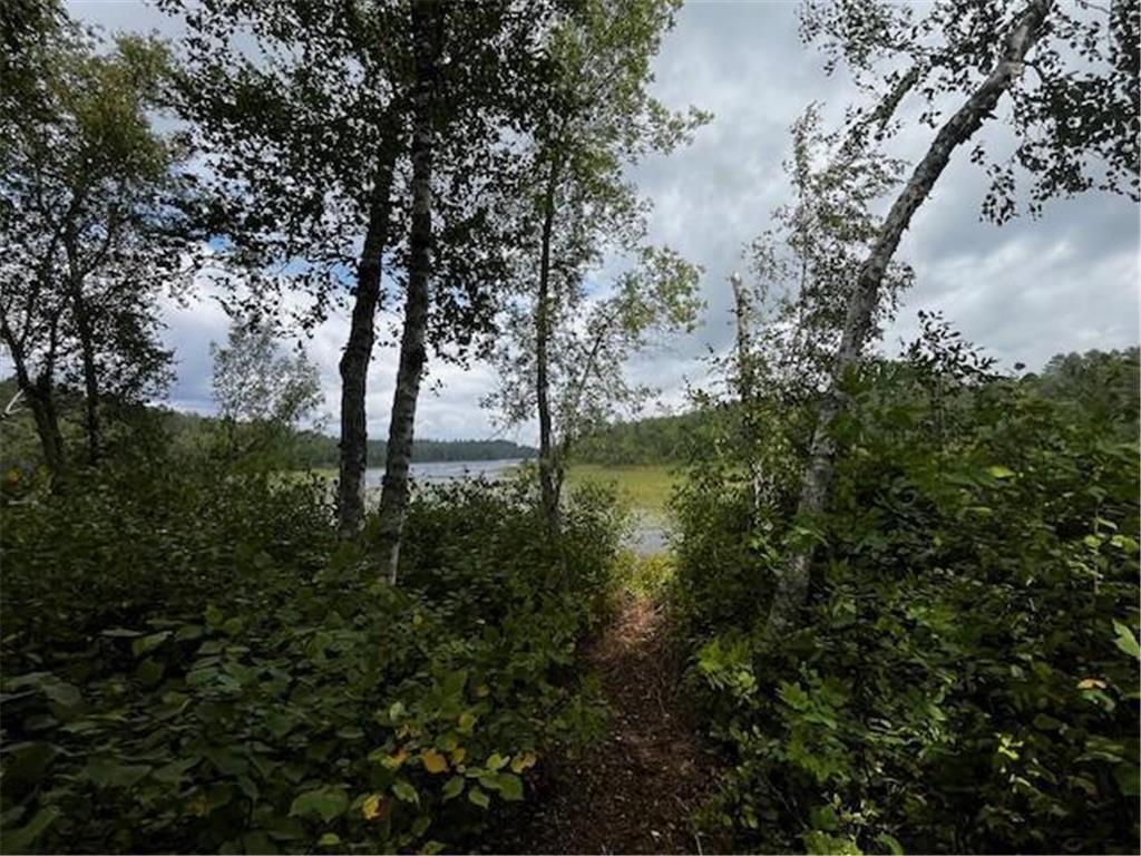 Tract B Jewel Drive Park Rapids MN 56470 - Bad Axe 6782350 image39