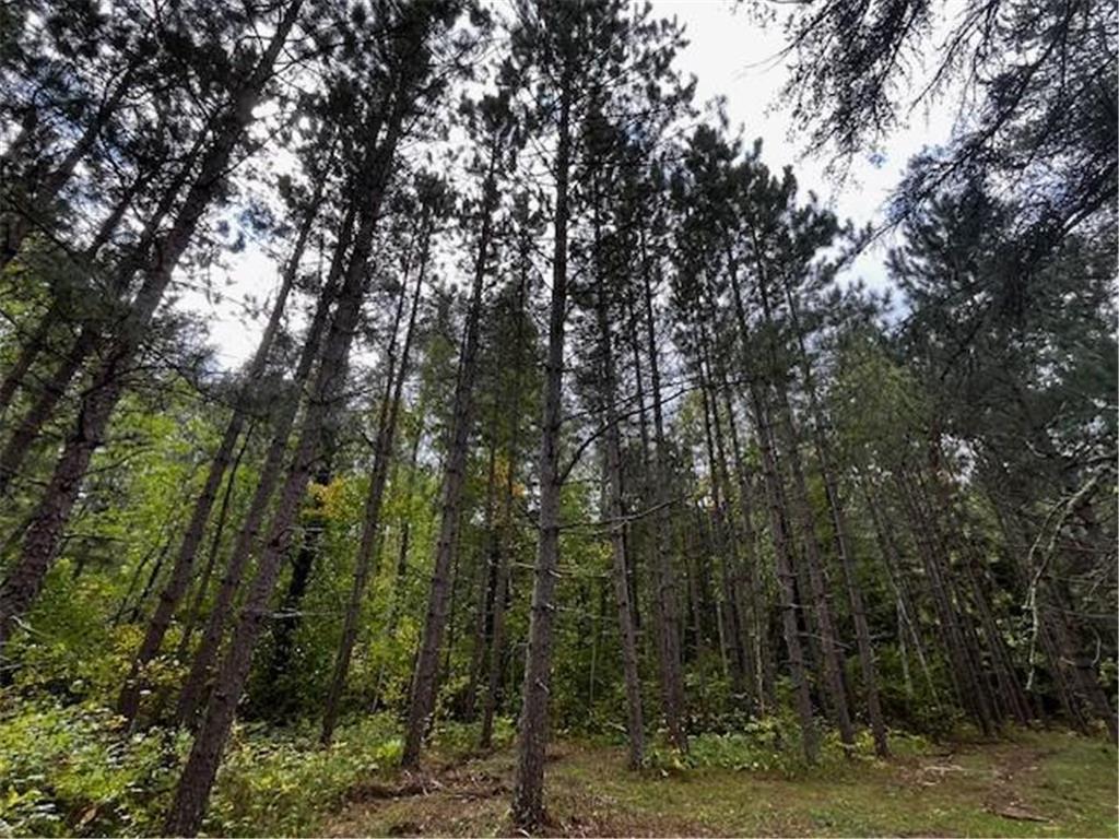 Tract B Jewel Drive Park Rapids MN 56470 - Bad Axe 6782350 image40