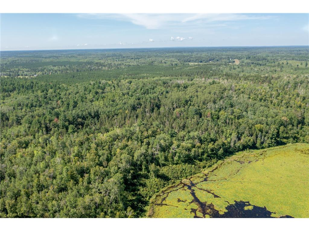 Tract B Jewel Drive Park Rapids MN 56470 - Bad Axe 6782350 image9