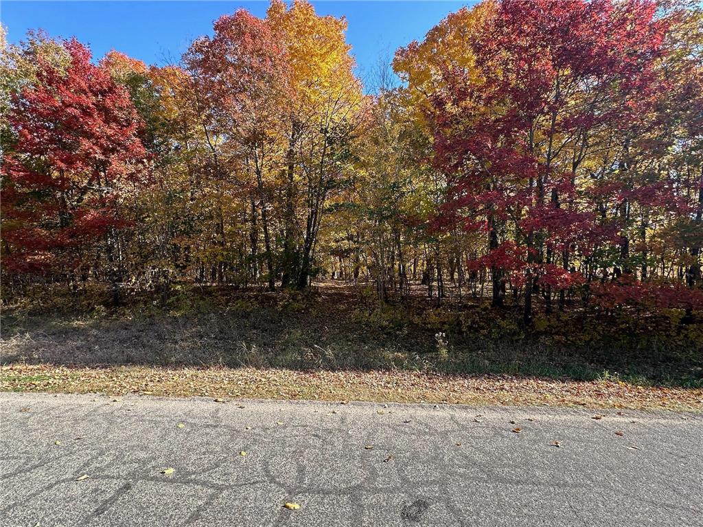 Tract B Pearl Lake Drive Detroit Lakes MN 56501 6619068 image1