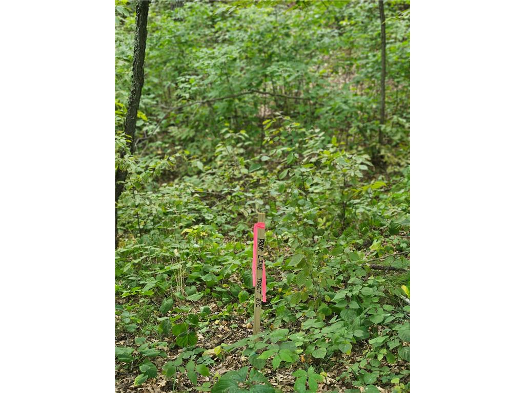 Tract B Richfield Road SW Pillager MN 56473 6780222 image1