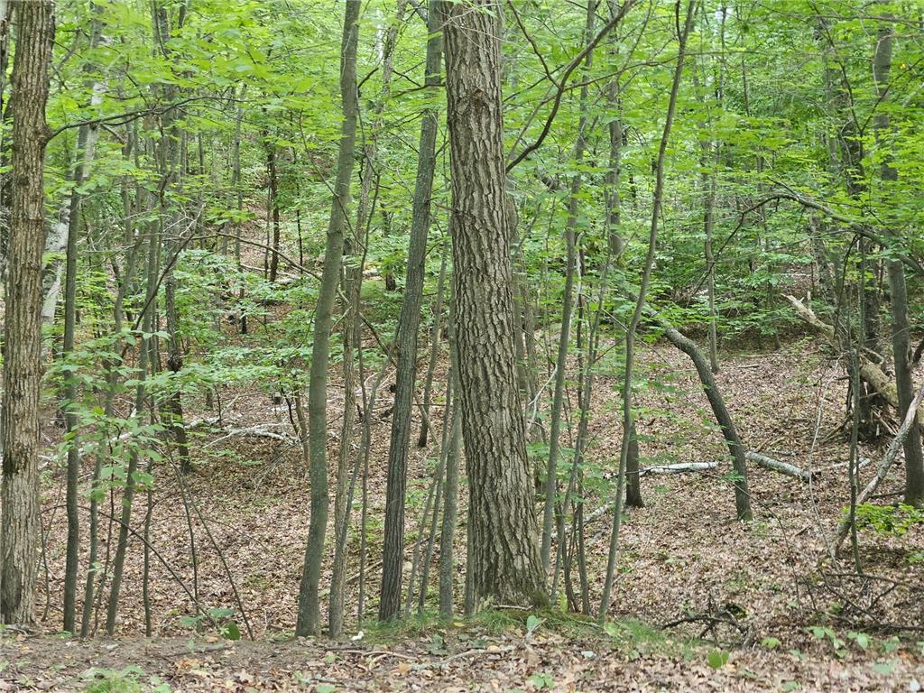 Tract B Richfield Road SW Pillager MN 56473 6780222 image10