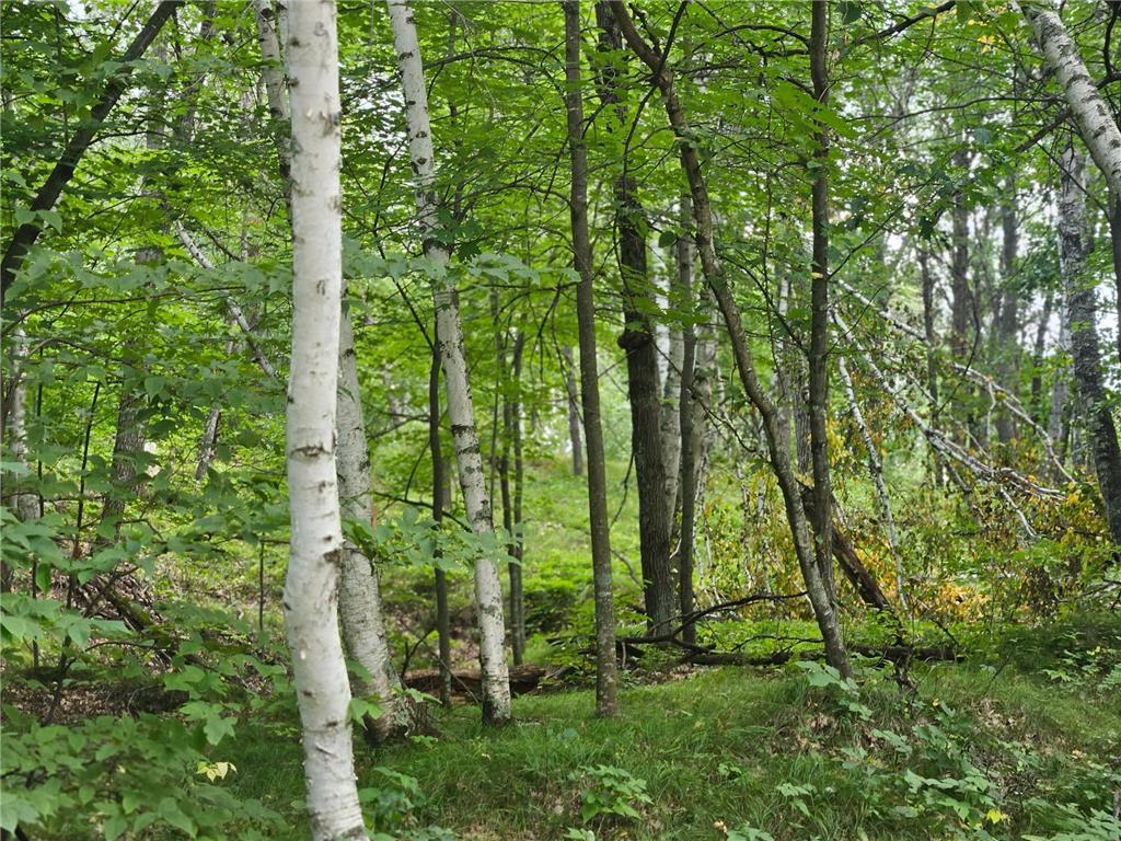 Tract B Richfield Road SW Pillager MN 56473 6780222 image11