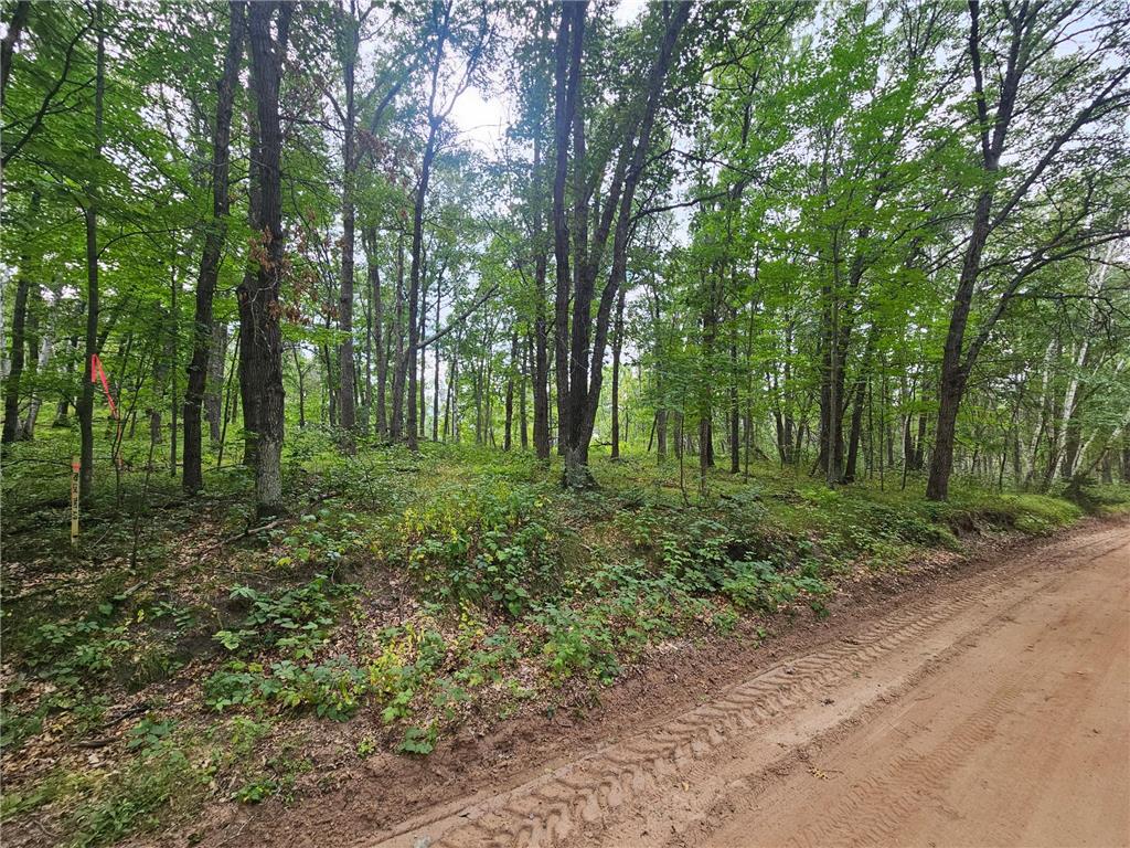 Tract B Richfield Road SW Pillager MN 56473 6780222 image2