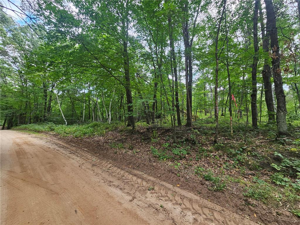 Tract B Richfield Road SW Pillager MN 56473 6780222 image5