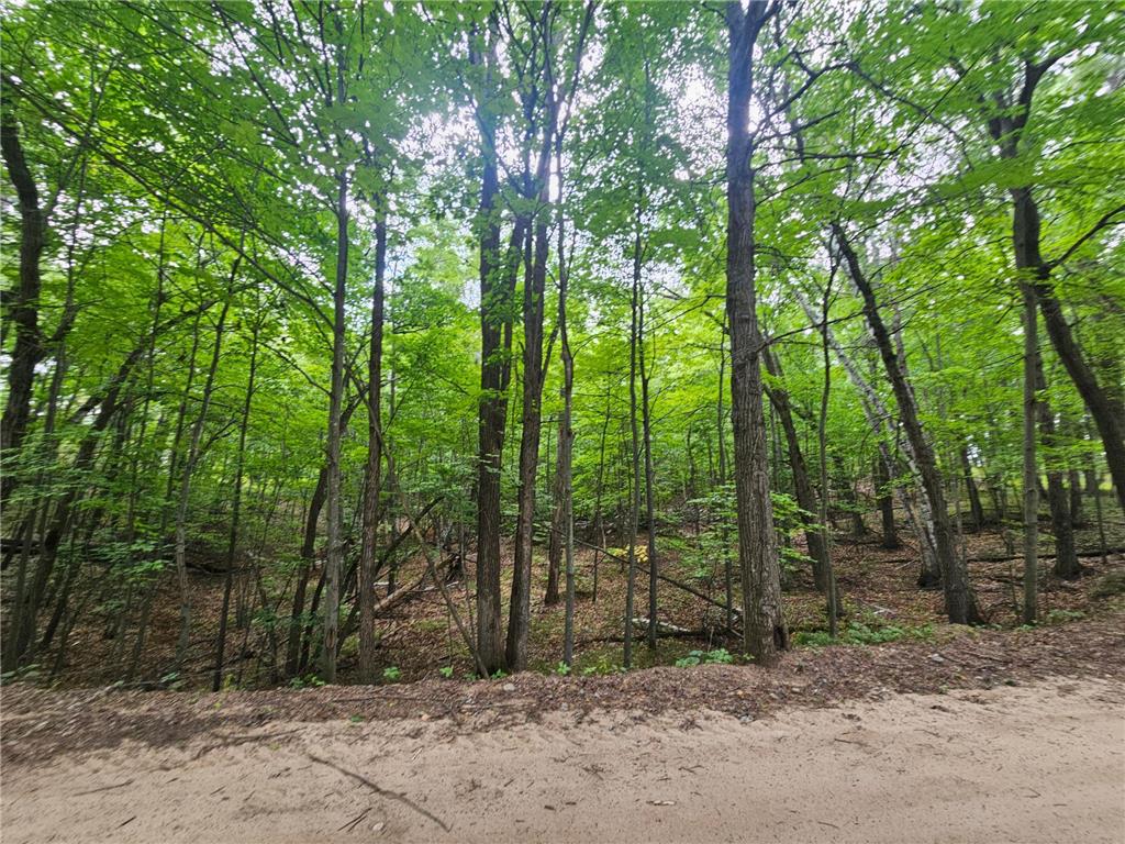 Tract B Richfield Road SW Pillager MN 56473 6780222 image8