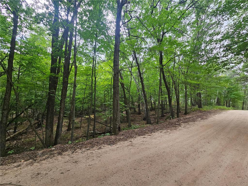 Tract B Richfield Road SW Pillager MN 56473 6780222 image9