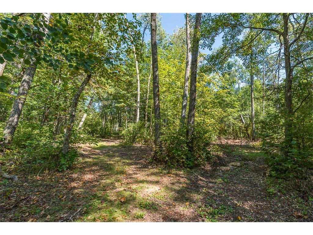 Tract B TBD Little Pine Road Sylvan Twp MN 56401 6800070 image10
