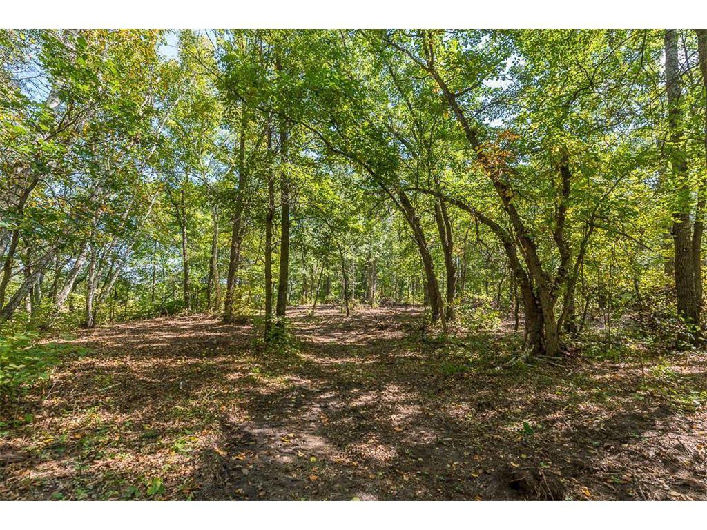 Tract B TBD Little Pine Road Sylvan Twp MN 56401 6800070 image11