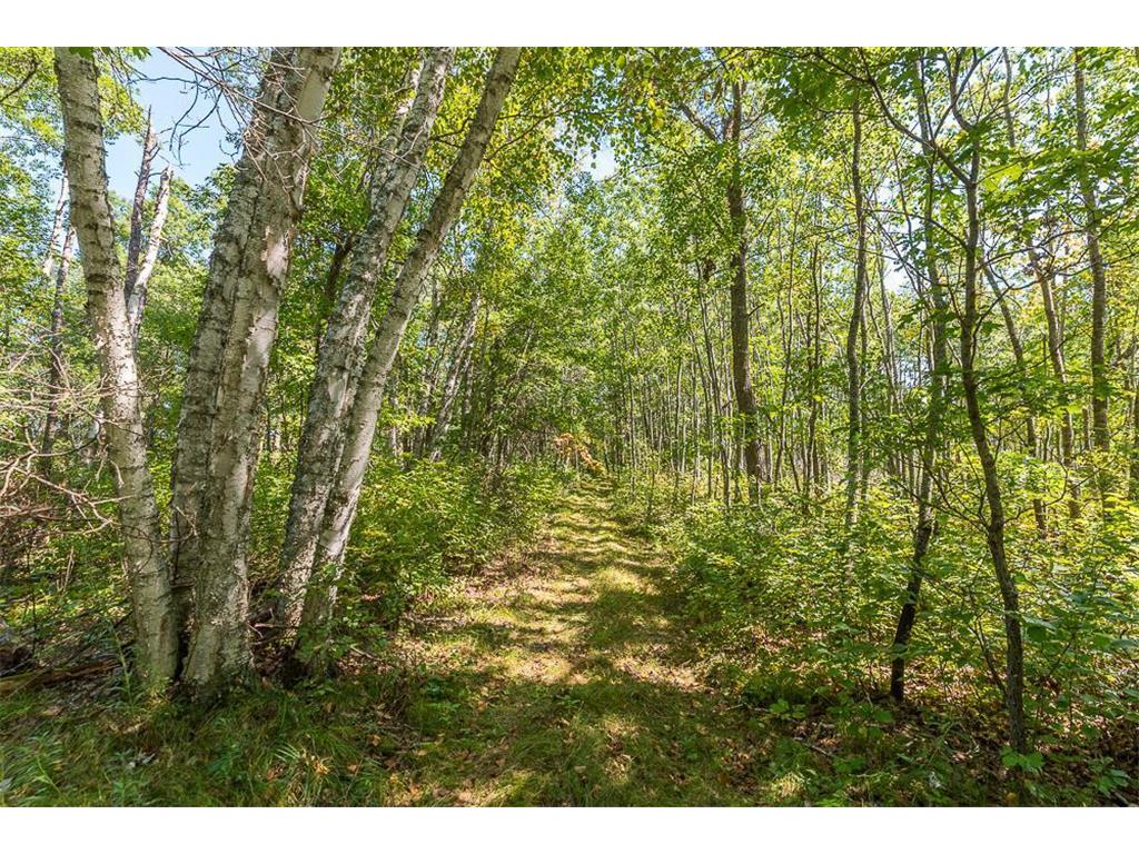 Tract B TBD Little Pine Road Sylvan Twp MN 56401 6800070 image12