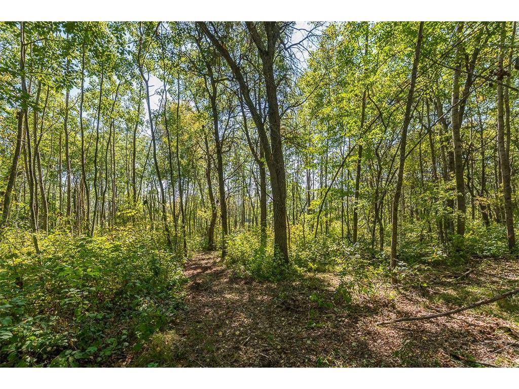 Tract B TBD Little Pine Road Sylvan Twp MN 56401 6800070 image13