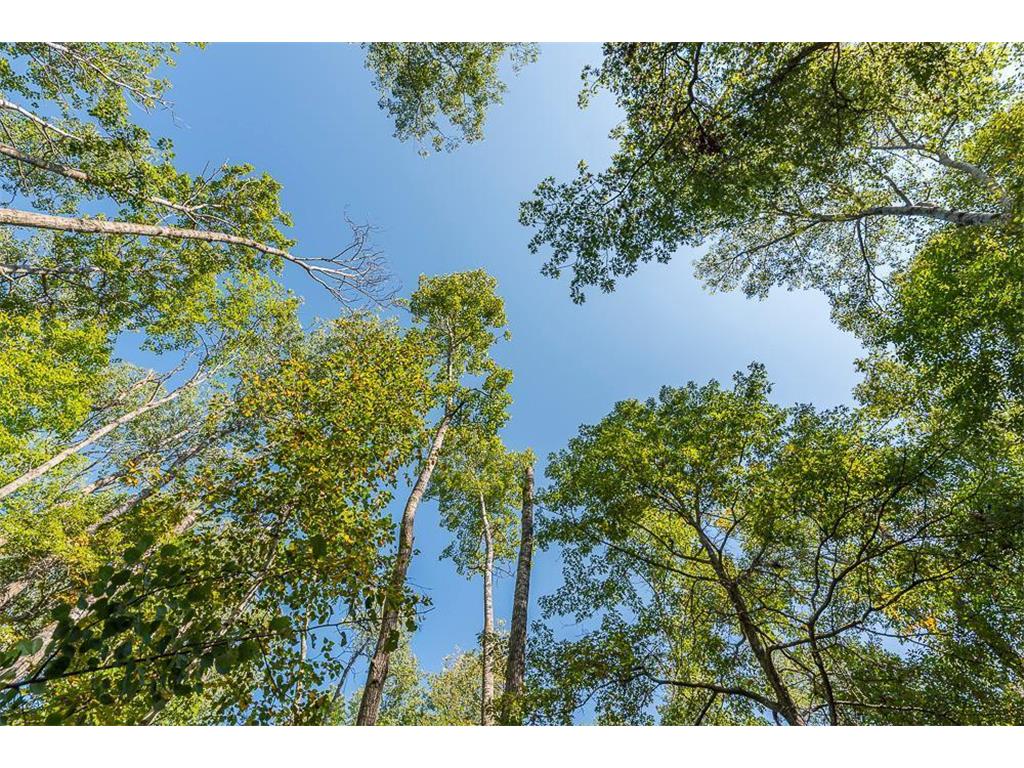 Tract B TBD Little Pine Road Sylvan Twp MN 56401 6800070 image14