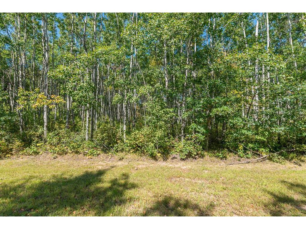 Tract B TBD Little Pine Road Sylvan Twp MN 56401 6800070 image15