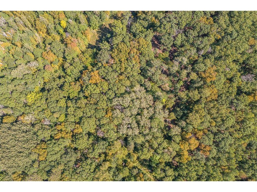 Tract B TBD Little Pine Road Sylvan Twp MN 56401 6800070 image18