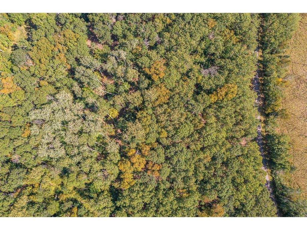 Tract B TBD Little Pine Road Sylvan Twp MN 56401 6800070 image6