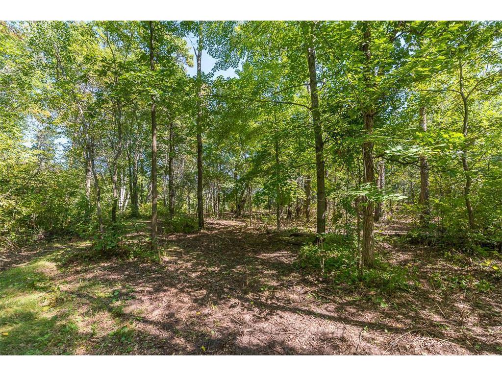Tract B TBD Little Pine Road Sylvan Twp MN 56401 6800070 image8
