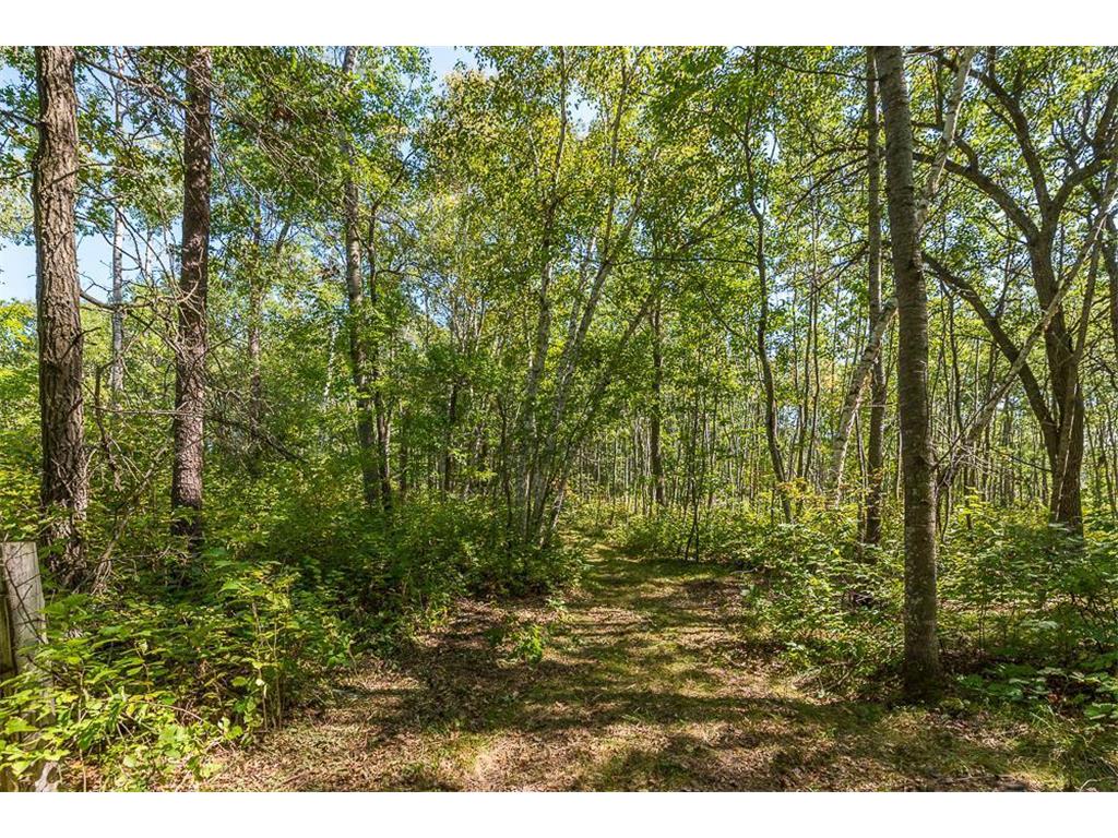 Tract B TBD Little Pine Road Sylvan Twp MN 56401 6800070 image9