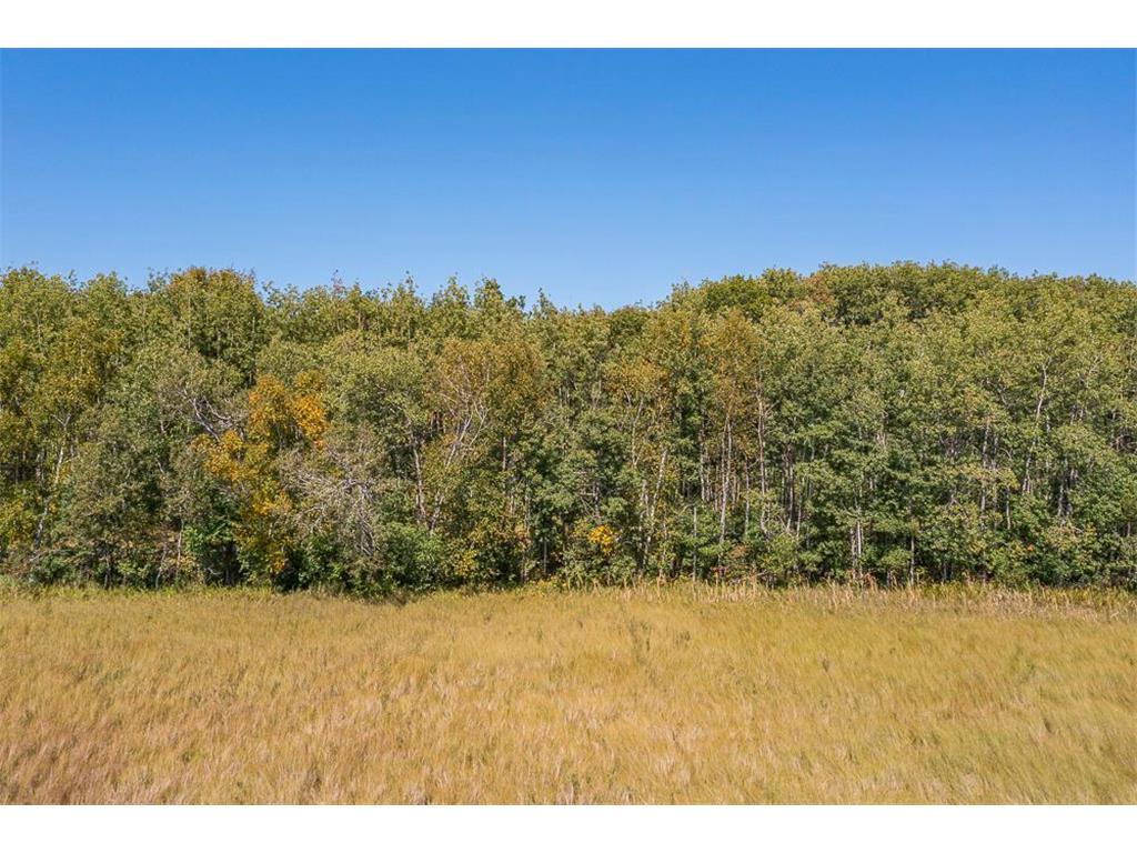 Tract B TBD Little Pine Road Sylvan Twp MN 56401 7057460 image16