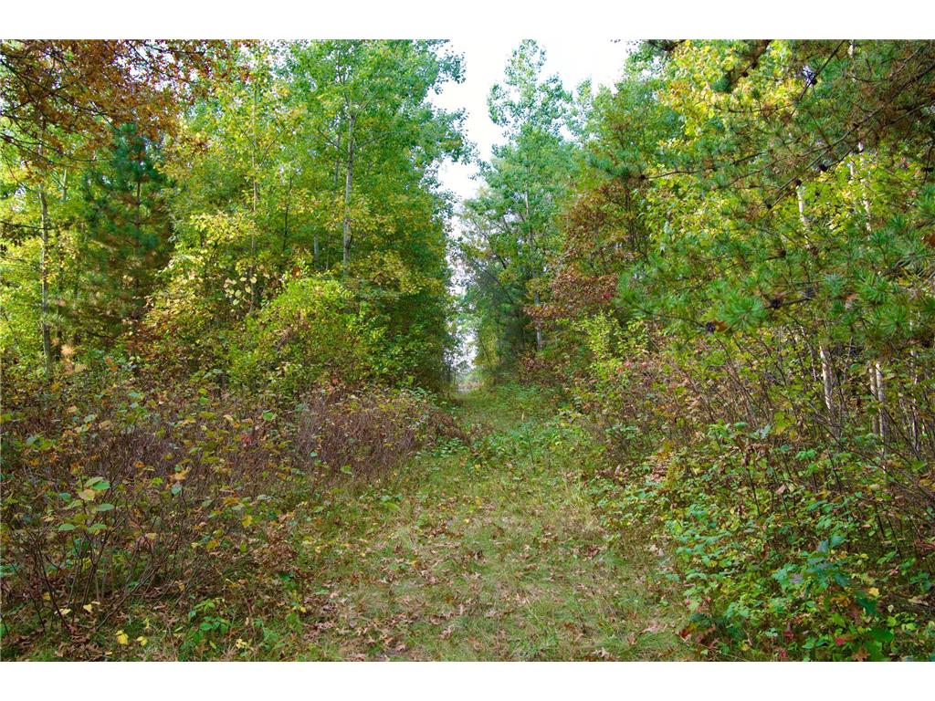 Tract C Hwy 371 Brainerd MN 56401 6798268 image6