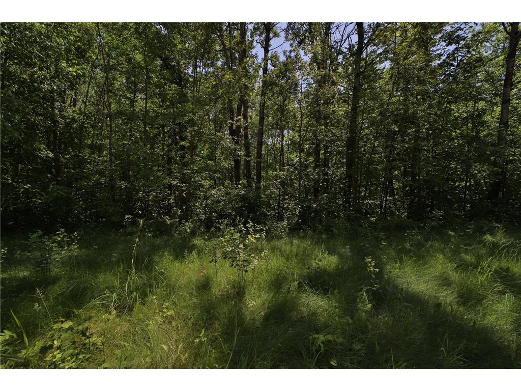 Tract C Olander Road Crosby MN 56441 6684941 image5