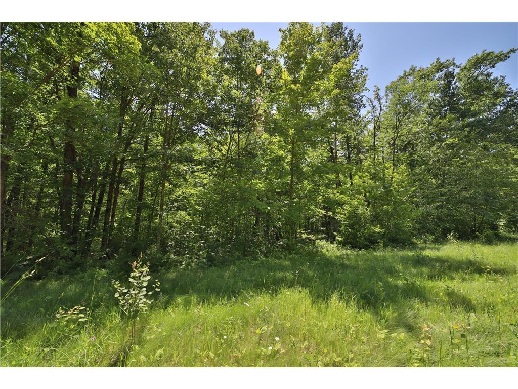Tract C Olander Road Crosby MN 56441 7041205 image1