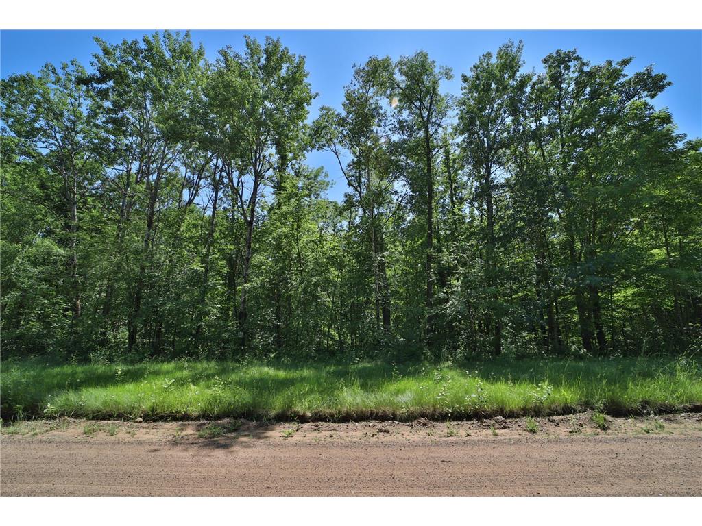 Tract C Olander Road Crosby MN 56441 7041205 image4