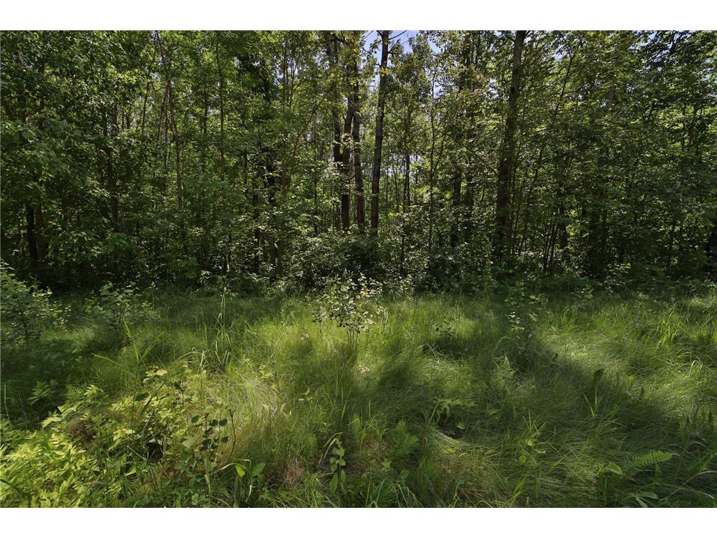 Tract C Olander Road Crosby MN 56441 7041205 image6