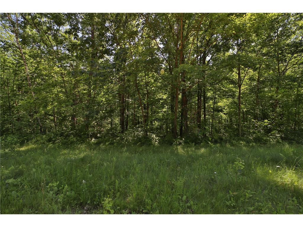 Tract C Olander Road Crosby MN 56441 7041205 image7