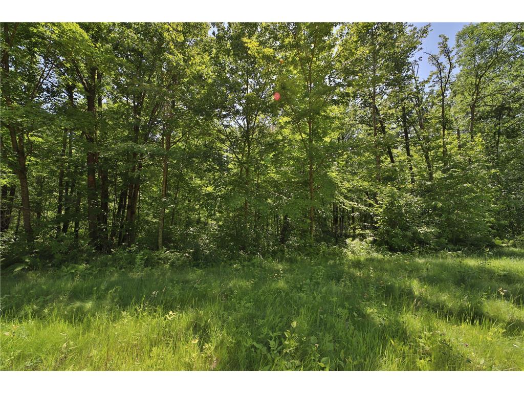 Tract C Olander Road Crosby MN 56441 7041205 image8