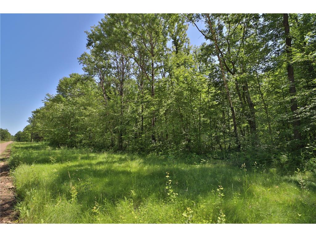 Tract C Olander Road Crosby MN 56441 7041205 image9