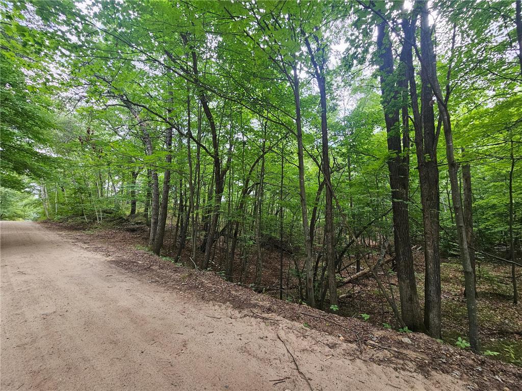 Tract C Richfield Road SW Pillager MN 56473 6780234 image4