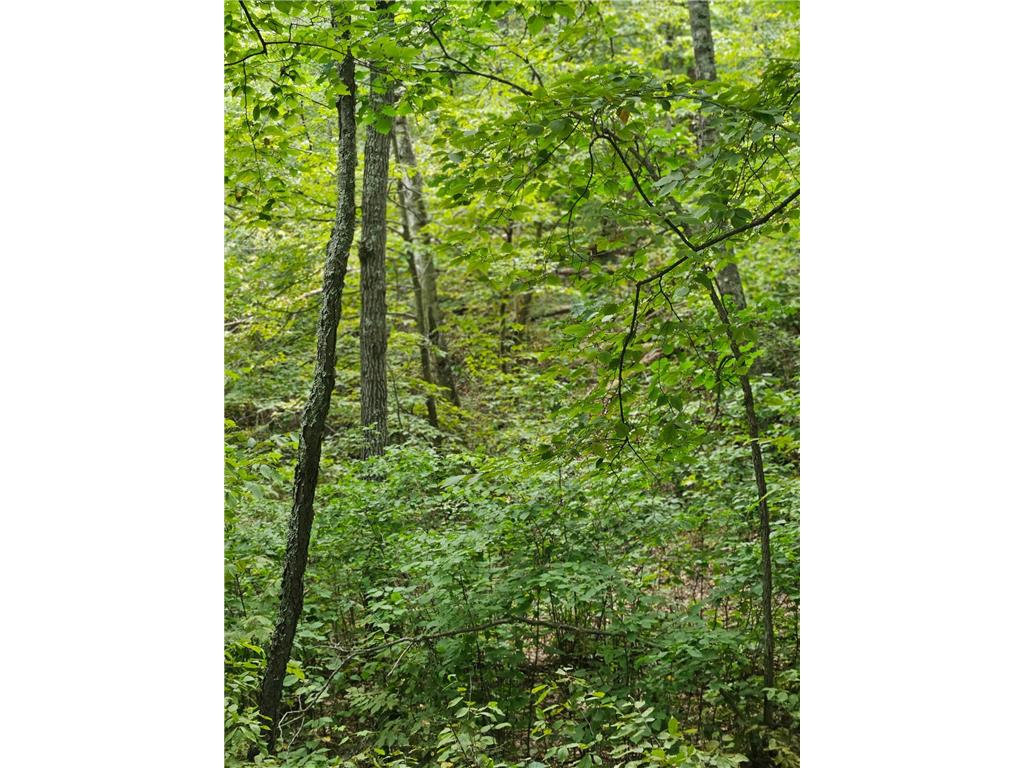 Tract C Richfield Road SW Pillager MN 56473 6780234 image5