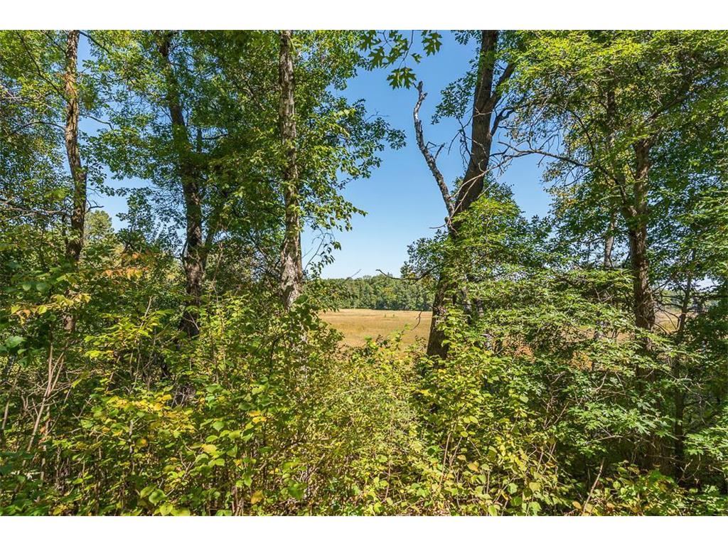 Tract C TBD Little Pine Road Sylvan Twp MN 56401 6804244 image4