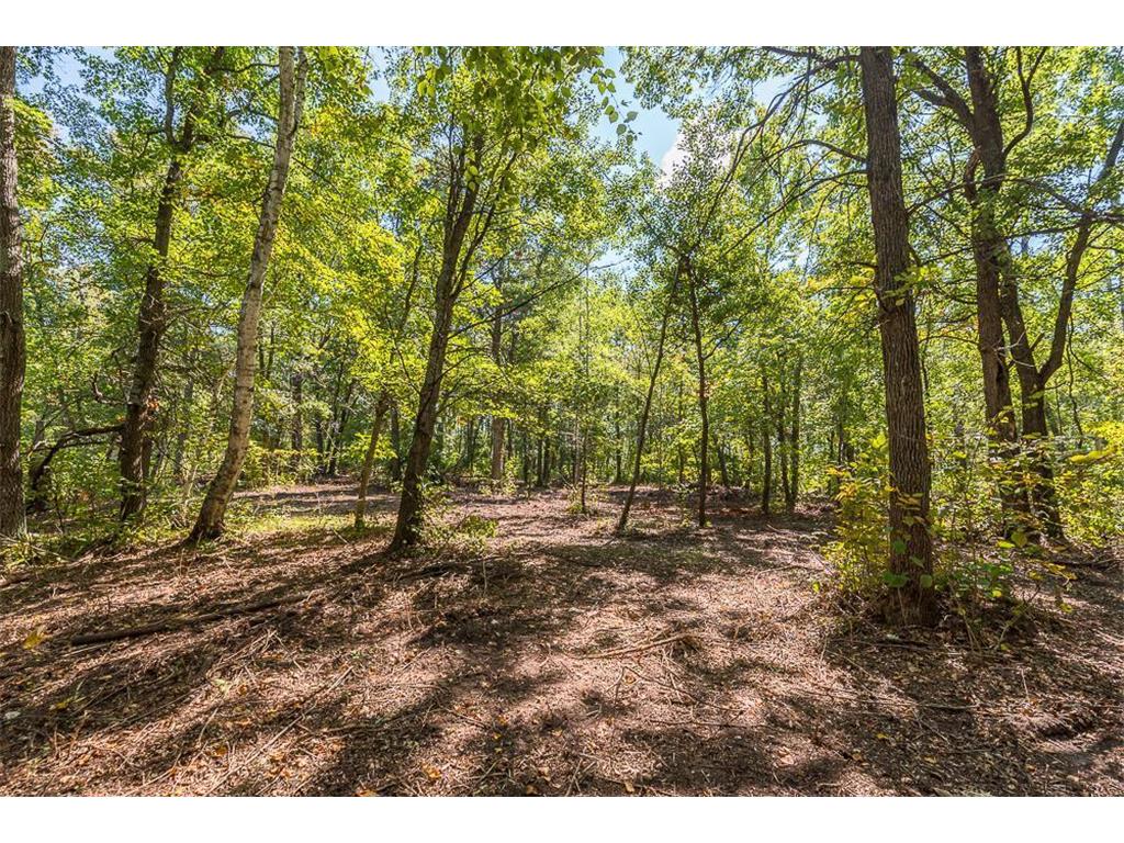 Tract C TBD Little Pine Road Sylvan Twp MN 56401 6804244 image8