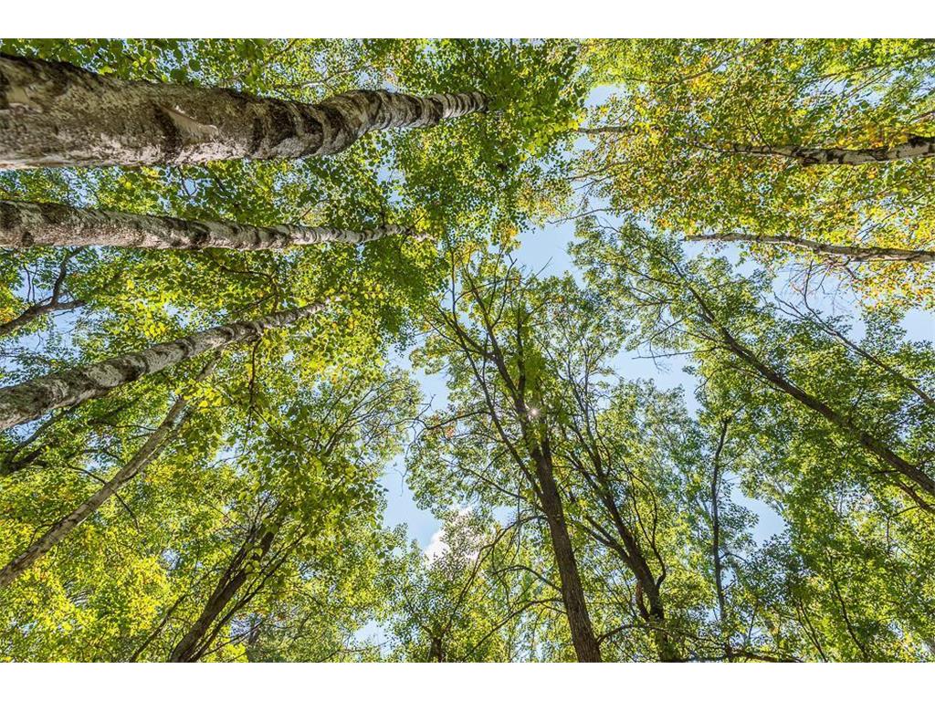 Tract C TBD Little Pine Road Sylvan Twp MN 56401 6804244 image9