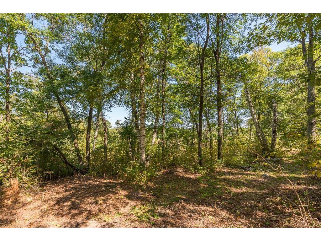 Tract C TBD Little Pine Road Sylvan Twp MN 56401 7057464 image10