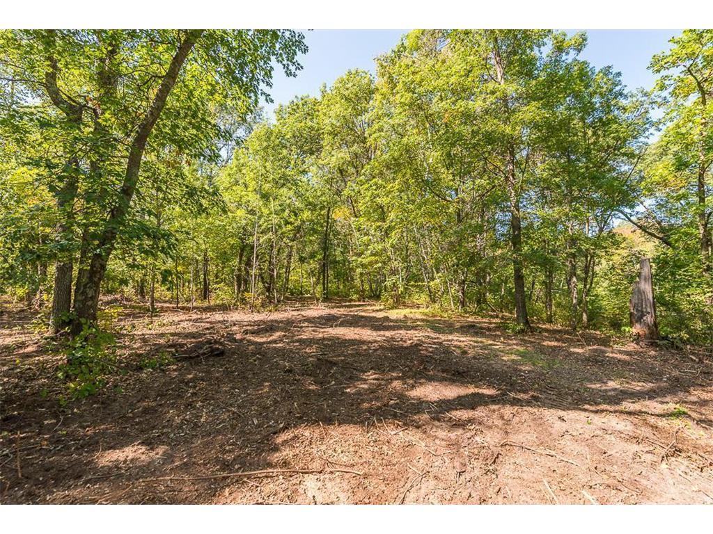 Tract C TBD Little Pine Road Sylvan Twp MN 56401 7057464 image11