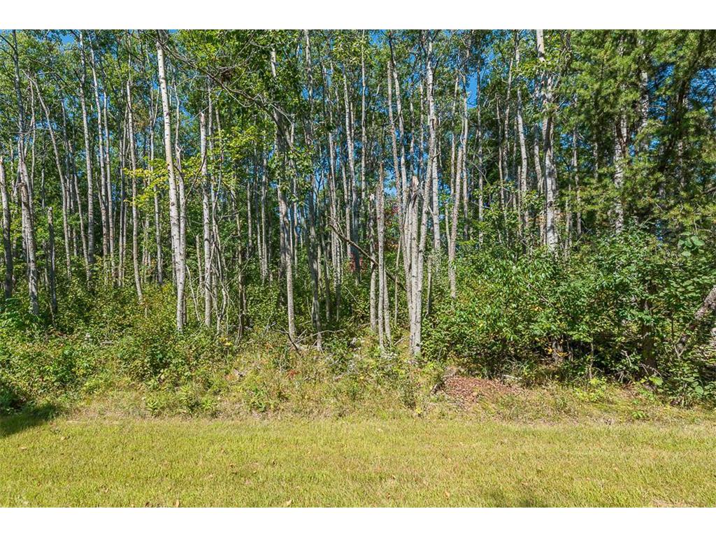 Tract C TBD Little Pine Road Sylvan Twp MN 56401 7057464 image12