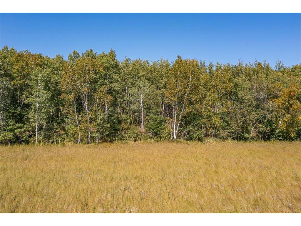 Tract C TBD Little Pine Road Sylvan Twp MN 56401 7057464 image15