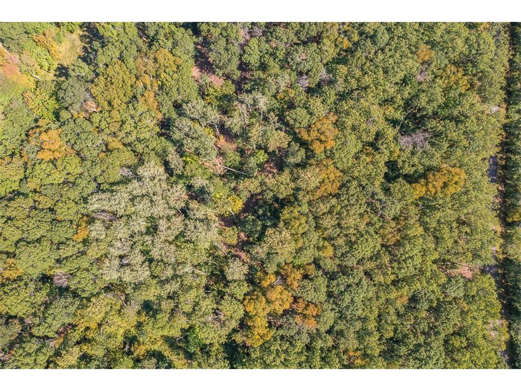 Tract C TBD Little Pine Road Sylvan Twp MN 56401 7057464 image19