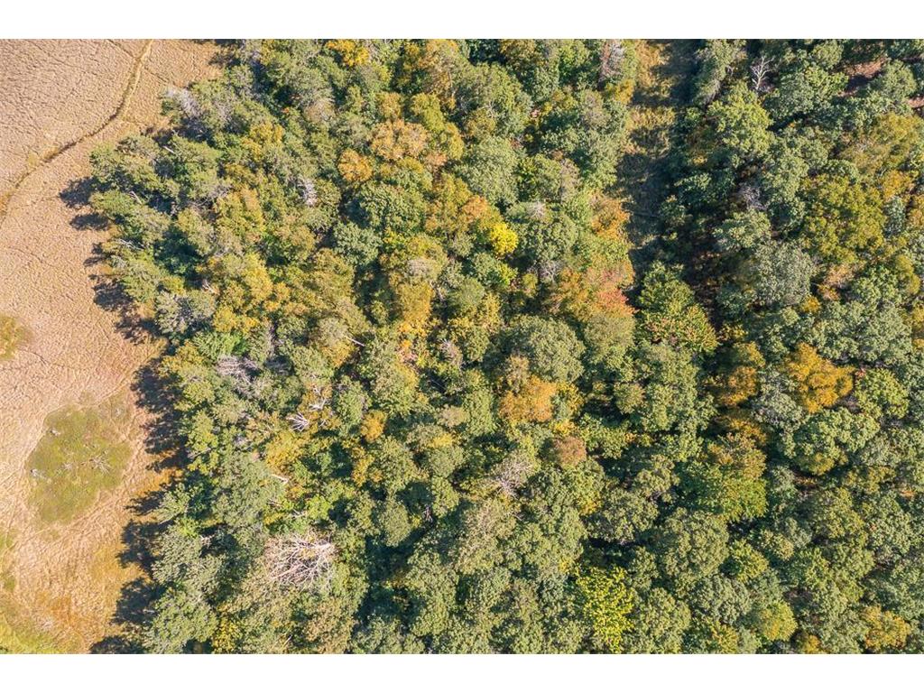 Tract C TBD Little Pine Road Sylvan Twp MN 56401 7057464 image20