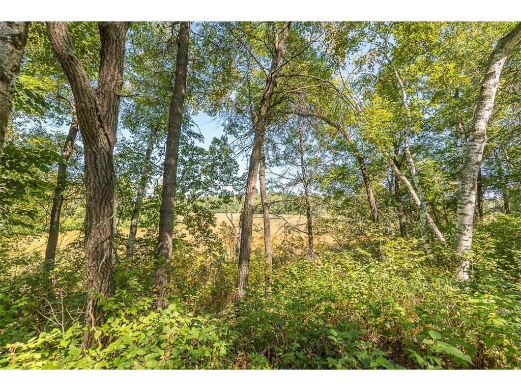 Tract C TBD Little Pine Road Sylvan Twp MN 56401 7057464 image5