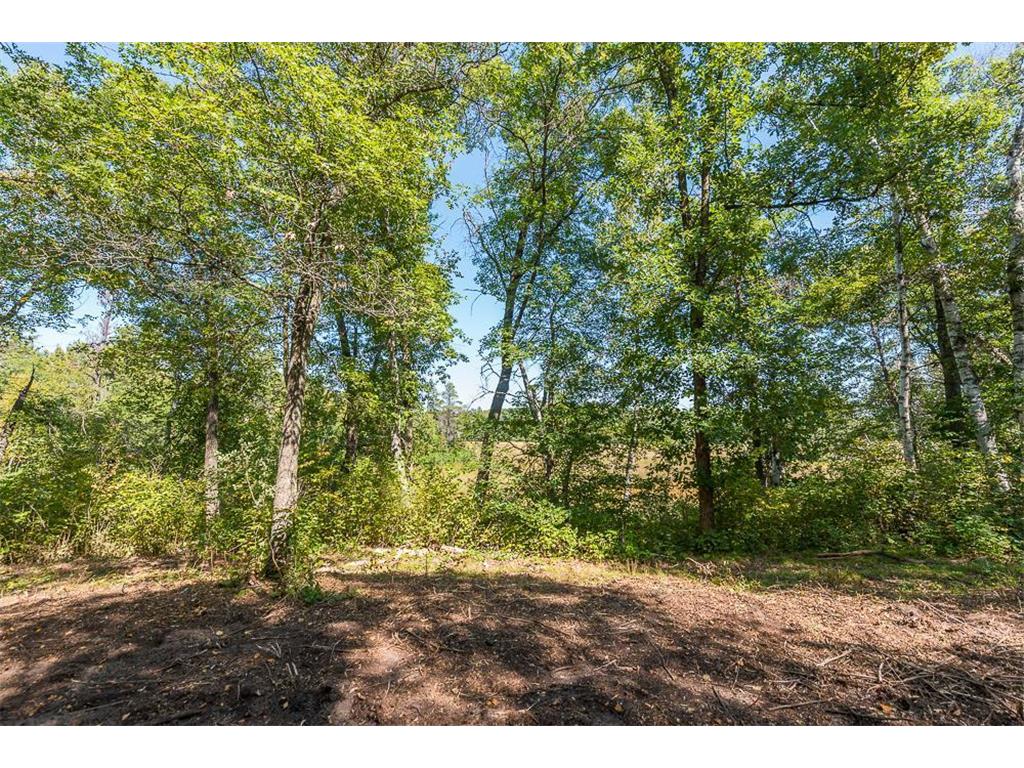 Tract C TBD Little Pine Road Sylvan Twp MN 56401 7057464 image6