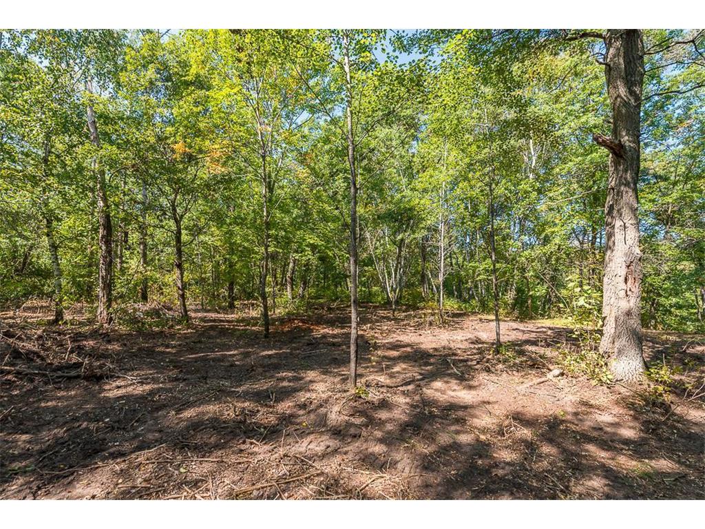 Tract C TBD Little Pine Road Sylvan Twp MN 56401 7057464 image7