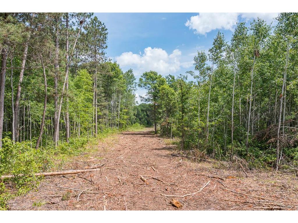 Tract C Tract C-Polaris Mission Twp MN 56465 6652847 image19