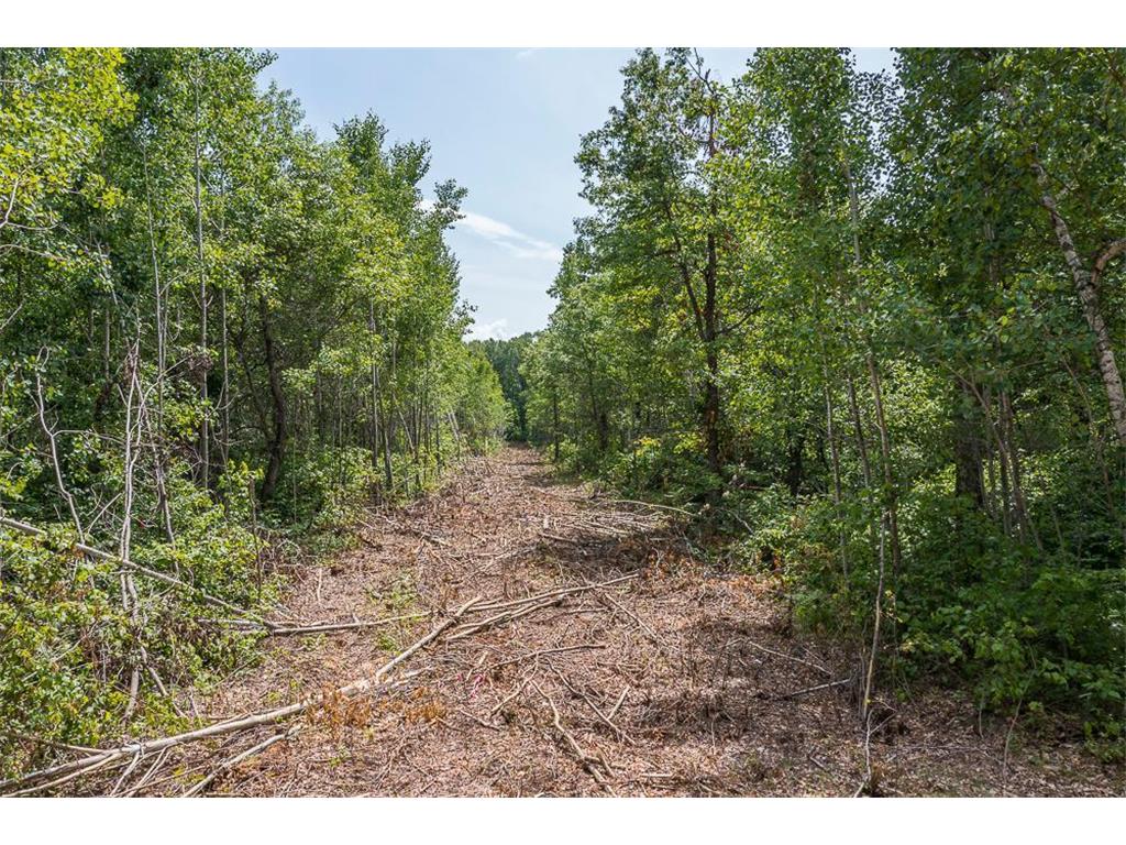 Tract C Tract C-Polaris Mission Twp MN 56465 6652847 image20